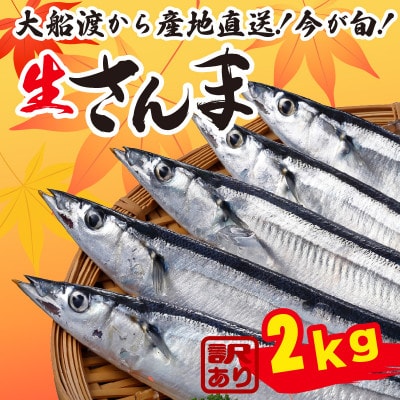 訳あり 生さんま 2kg [kama013_y]