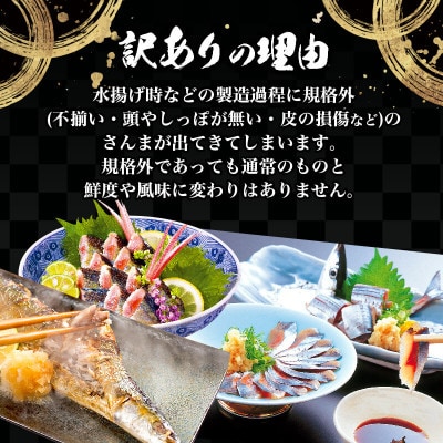 訳あり 生さんま 2kg [kama013_y]