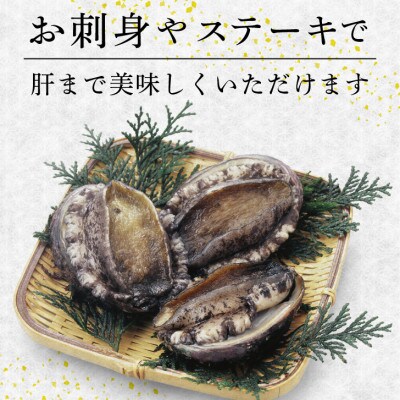 蝦夷あわび 1kg 冷凍 [56500427_1]