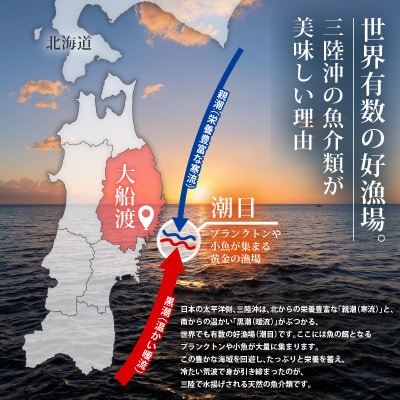 訳あり 半生うに 200g [kama033_2]