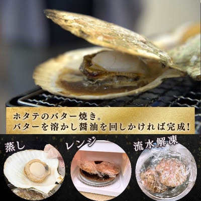 訳あり 三陸産 殻付きホタテ 8枚 [kama050]