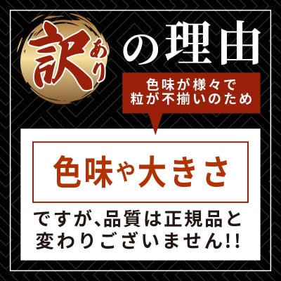 訳あり 半生うに 100g [kama032_1]