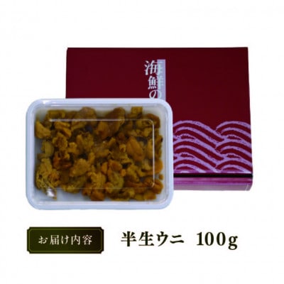 訳あり 半生うに 100g [kama032_1]