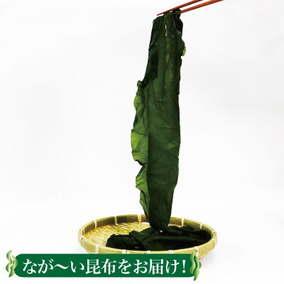 [5650-0359_1]大船渡産 塩蔵こんぶ1.6kg(200g×8袋)
