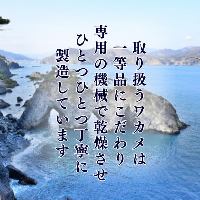 岩手県産 塩蔵わかめ600g(100g×6袋)