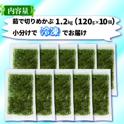 旬ゆで切り めかぶ 120g×10袋 計1.2kg 冷凍[56500358_1]