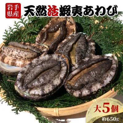 活あわび 大サイズ 5個 約650g 冷蔵 [56500446_2]