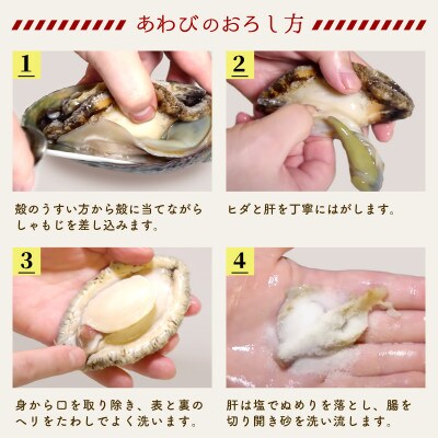 活あわび 大サイズ 8個 約1.1kg 冷蔵 [56500450_2]