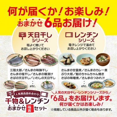 干物&レンチンおまかせ福袋セット 6品 [oikawa027]