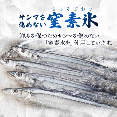 訳あり 鮮さんま 2kg [oikawa015_y]