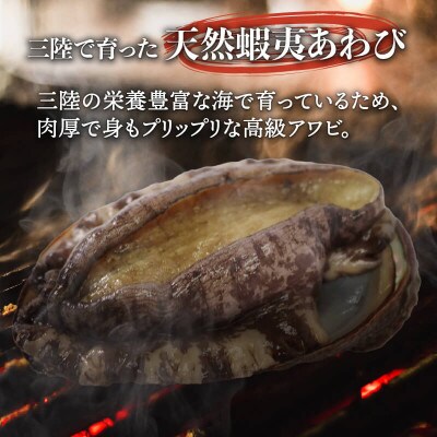 三陸産活エゾアワビ約500g