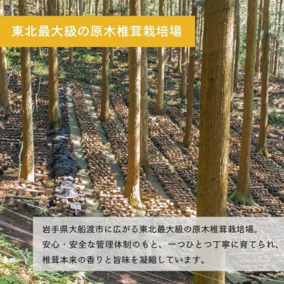 しいたけ粉 1袋(約70g)[kin001_2]
