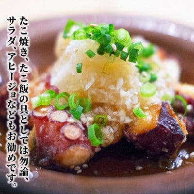 ぶつ切りたこ7(足の部位のみ使用)