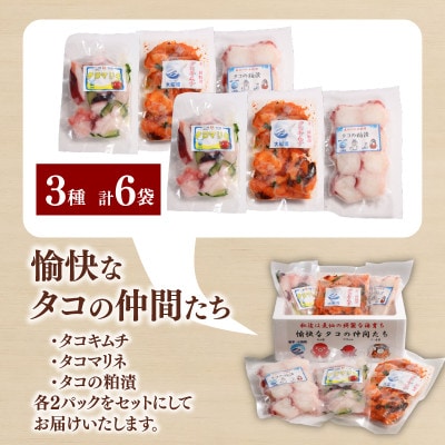 愉快なタコの仲間たち[キムチ/マリネ/粕漬け] 各2p