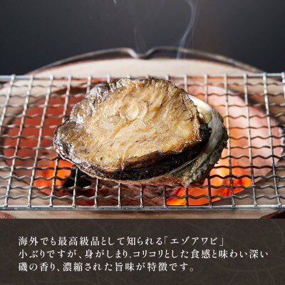 国産 天然 エゾアワビ 500g [nomura003]