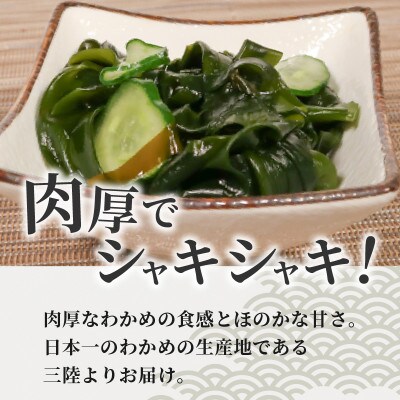 塩蔵わかめ 640g (80g×8)[nomura035_1]