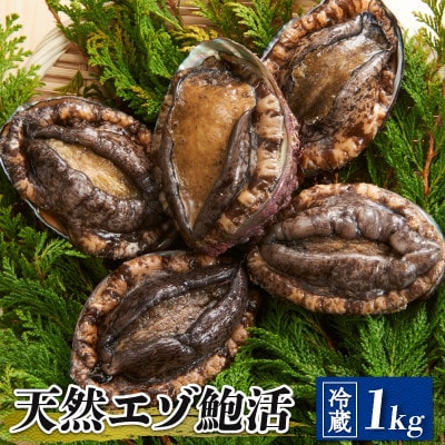 天然 活エゾアワビ 1kg 冷蔵[nomura002]