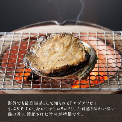 天然 活エゾアワビ 1kg 冷蔵[nomura002]