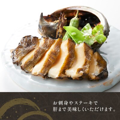 天然 活エゾアワビ 1kg 冷蔵[nomura002]