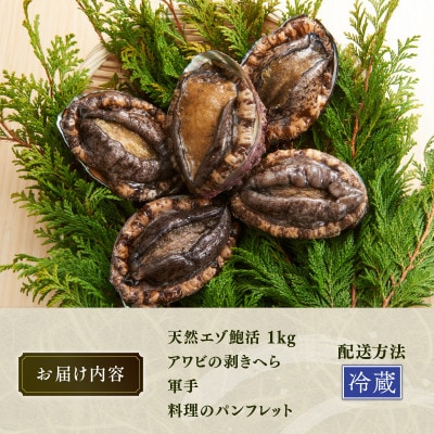 天然 活エゾアワビ 1kg 冷蔵[nomura002]