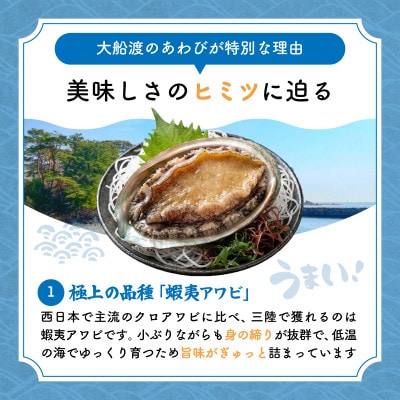 あわび煮貝 2個 [木目箱][nomura041-2]