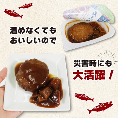 大船渡港町のととバーグ10個セット(デミグラス)