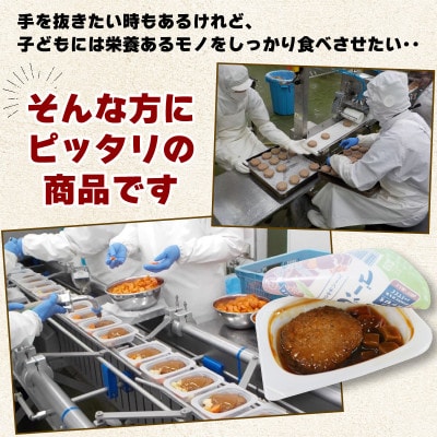 大船渡港町のととバーグ10個セット(デミグラス)