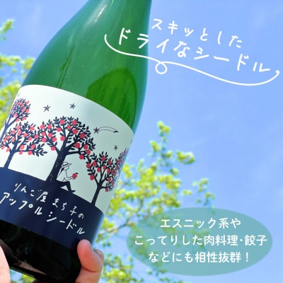 りんご屋まち子 アップルシードル 750ml