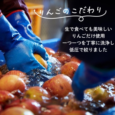 メルロ/ピノグリ/シードル/ジュース 4本セット