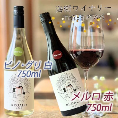 メルロ/ピノグリ 2本セット750ml