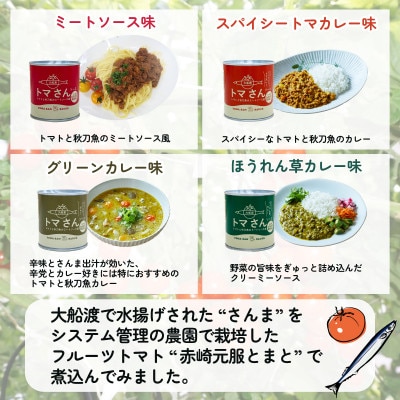トマさんソース4種セット1.2kg(ミートソース、カレー、グリーンカレー、ほうれん草カレー)