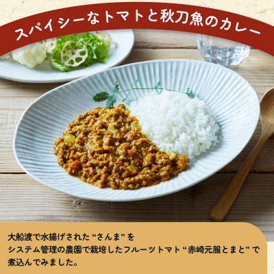 トマさんソース　スパイシートマカレー味1.2kg(300g×4缶)