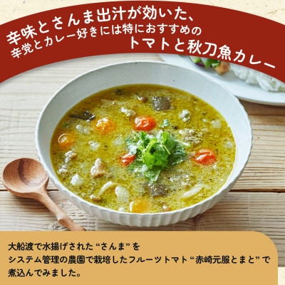 トマさんソースグリーンカレー味1.2kg(300g×4缶)