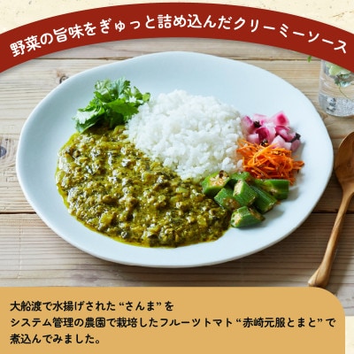 トマさんソース　ほうれん草カレー味1.2kg(300g×4缶)
