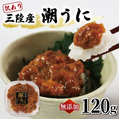 訳あり 潮ウニ 120g [56500615_2]
