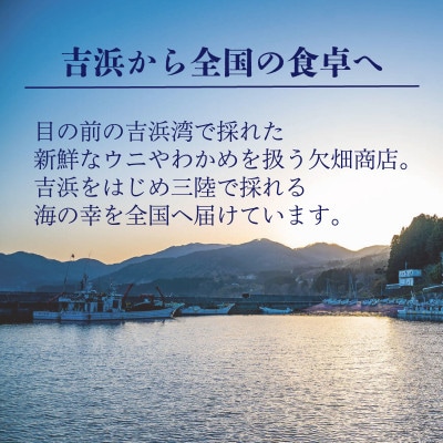 訳あり 潮ウニ 120g [56500615_2]