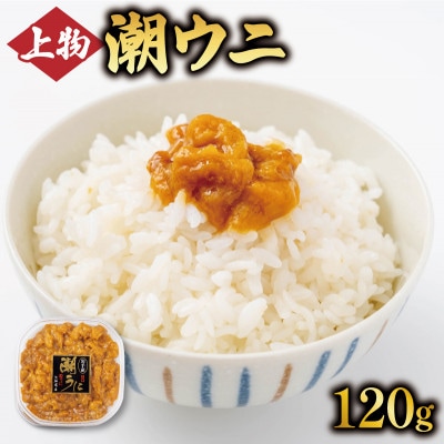 上物 潮ウニ 120g 冷凍 [kakehata008]