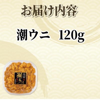上物 潮ウニ 120g 冷凍 [kakehata008]