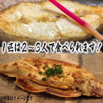 干しカレイ2-3枚(700g)イカ塩辛200g×2