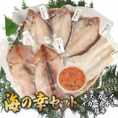 海の幸セット A-3