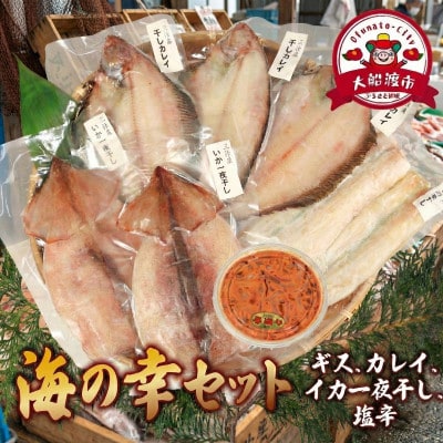 海の幸セット A-3