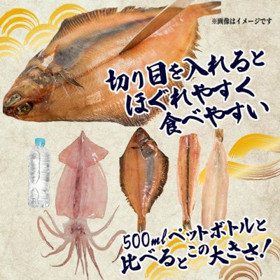 海の幸セット A-3