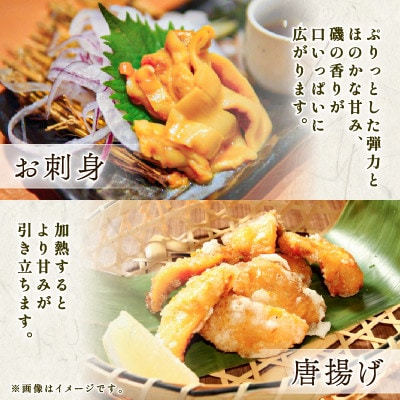 カットほや 180g×5パック [yoshidasyouten015]