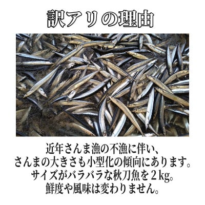 訳あり 鮮さんま 2kg [yoshidasyouten013_y]