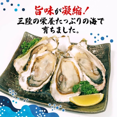 訳あり冷凍殻付き牡蠣 約3kg