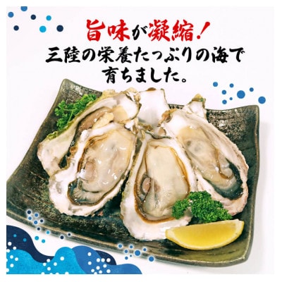 訳あり冷凍殻付き牡蠣 約5kg