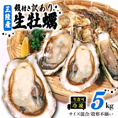 【生産調整品】生食 殻付き 牡蠣 訳あり 数量限定 冷凍 5kg [koku013_1]