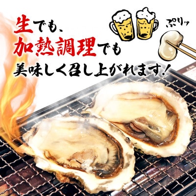 【生産調整品】生食 殻付き 牡蠣 訳あり 数量限定 冷凍 5kg [koku013_1]