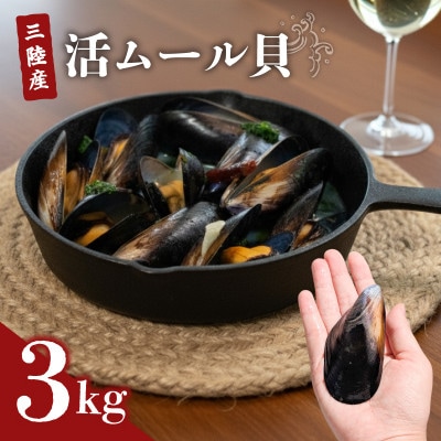 国産 活ムール貝 3kg 冷蔵 [koku016]