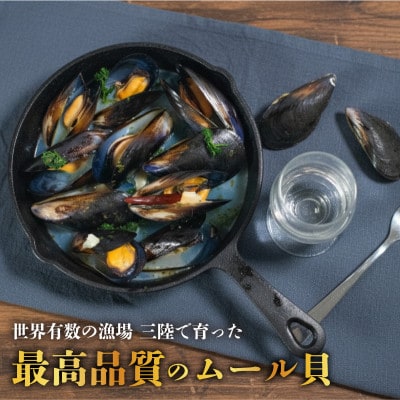 国産 活ムール貝 3kg 冷蔵 [koku016]